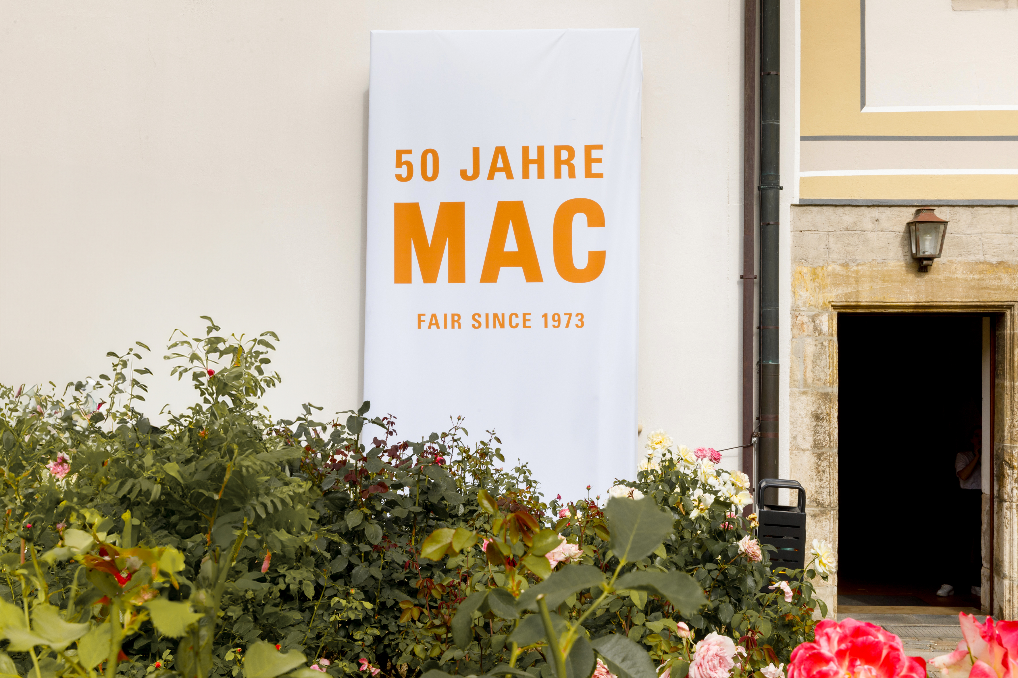 Preview image for Würdiger Abschluss des Jubiläumsjahres: Rückblick auf 50 Years of MAC